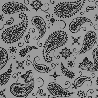 bwpaisley.webp