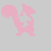 squirrel