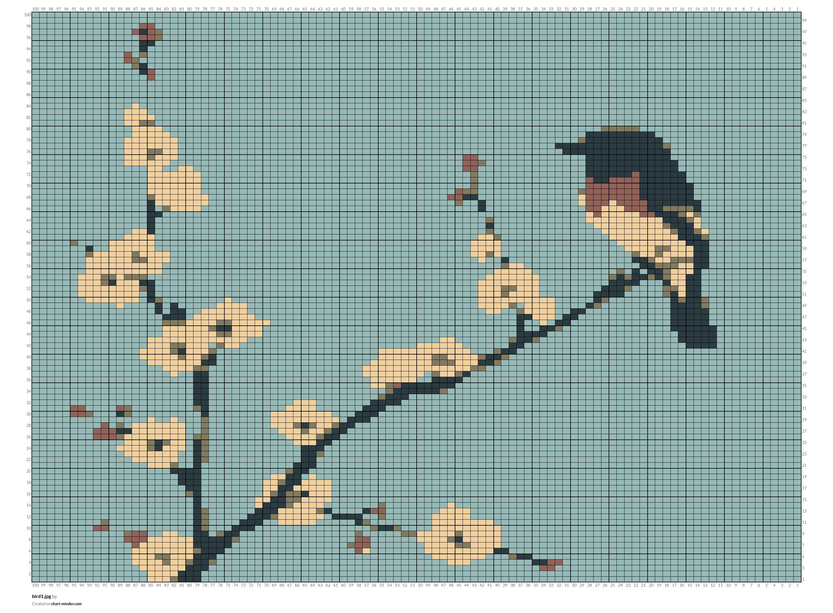 bird1.jpg