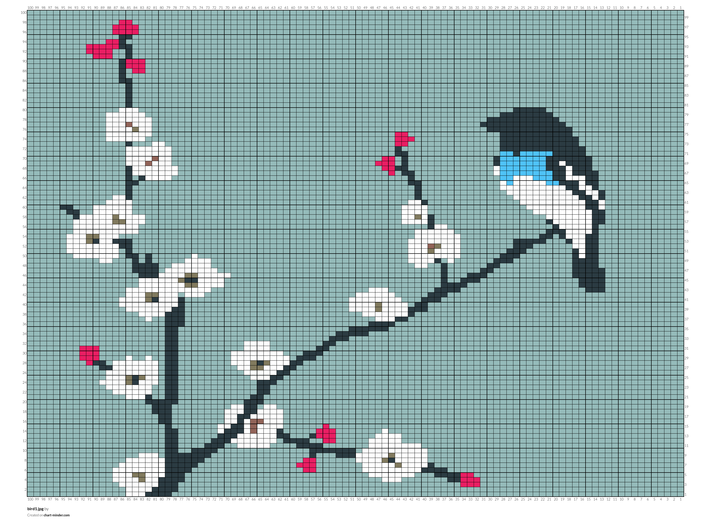 bird1.jpg