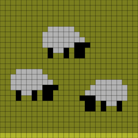 sheep