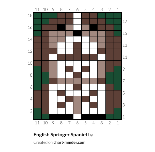 English Springer Spaniel 