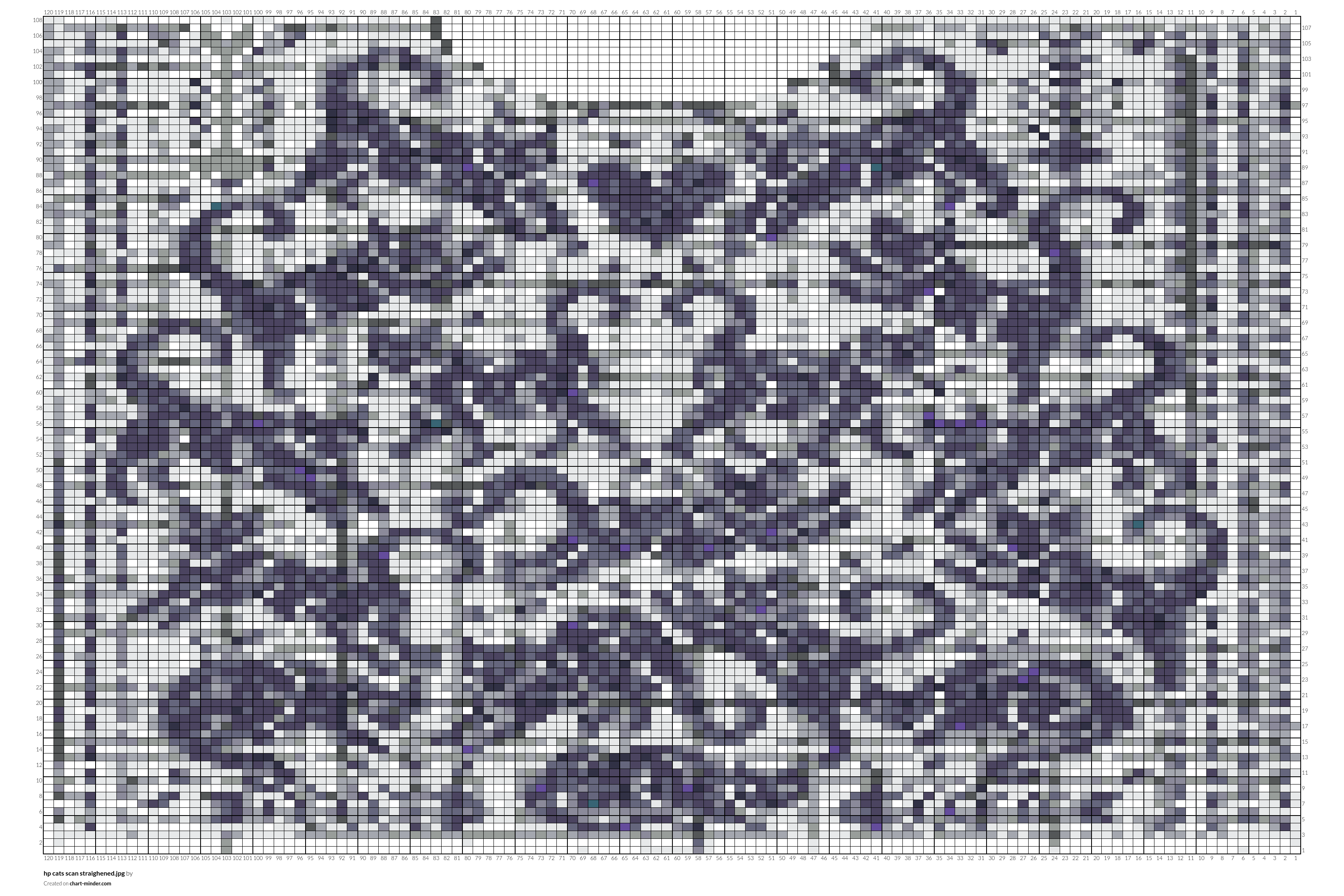 hp cats scan straighened.jpg