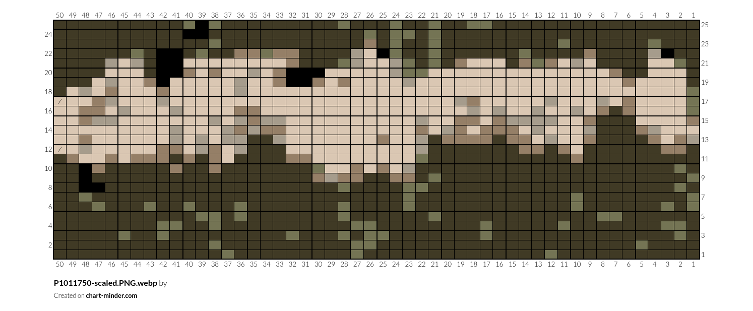 P1011750-scaled.PNG.webp