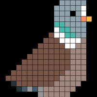 Copy of pigeon