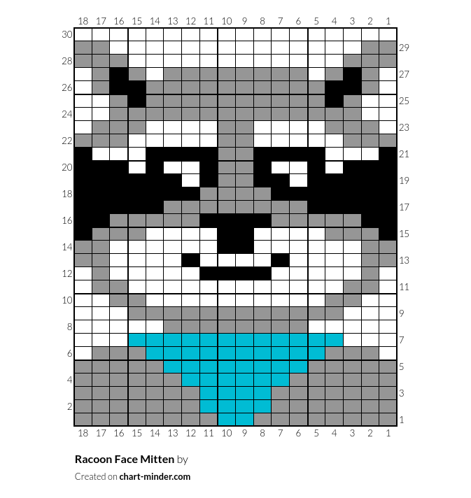 Racoon Face Mitten