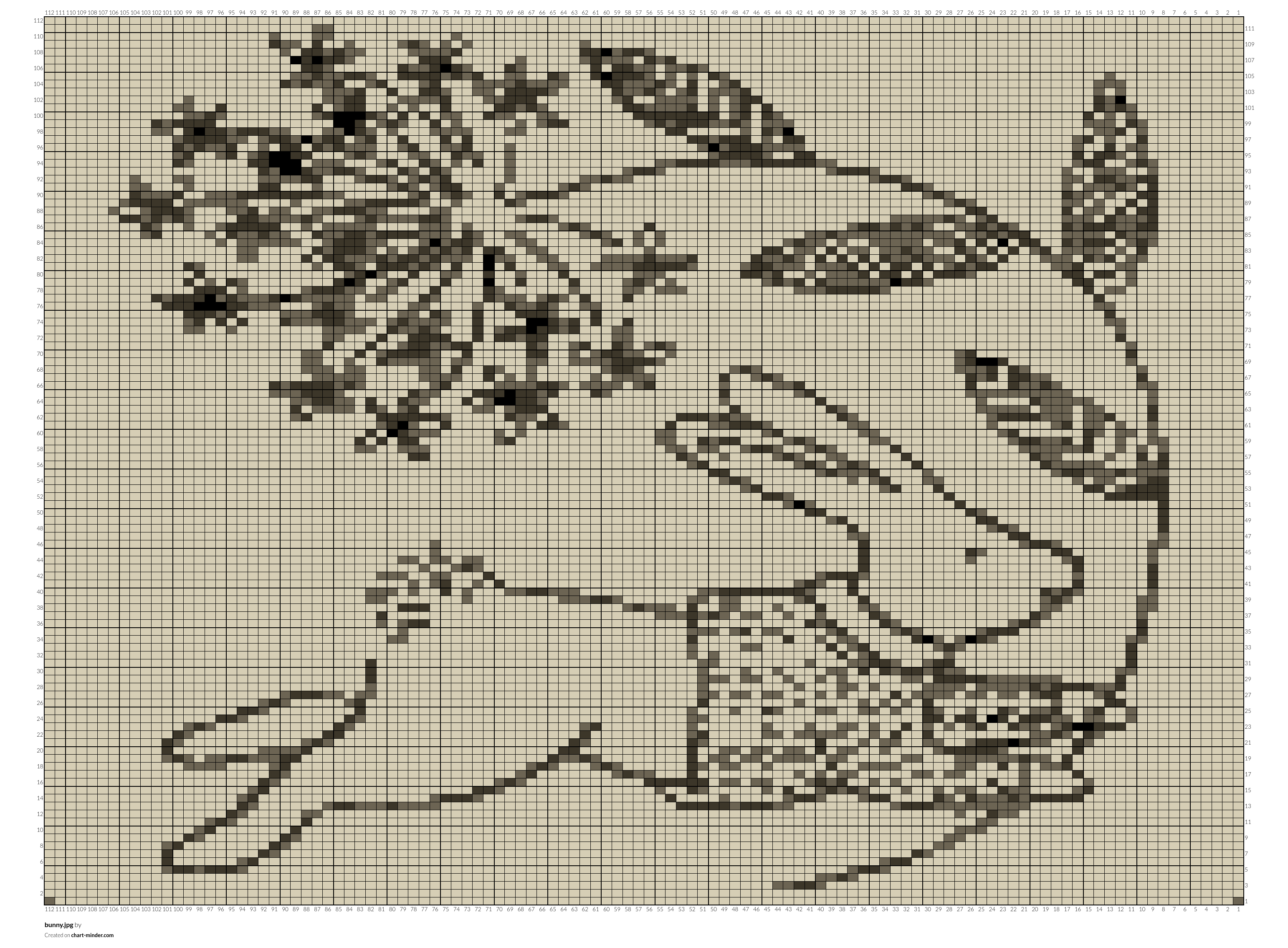 bunny.jpg