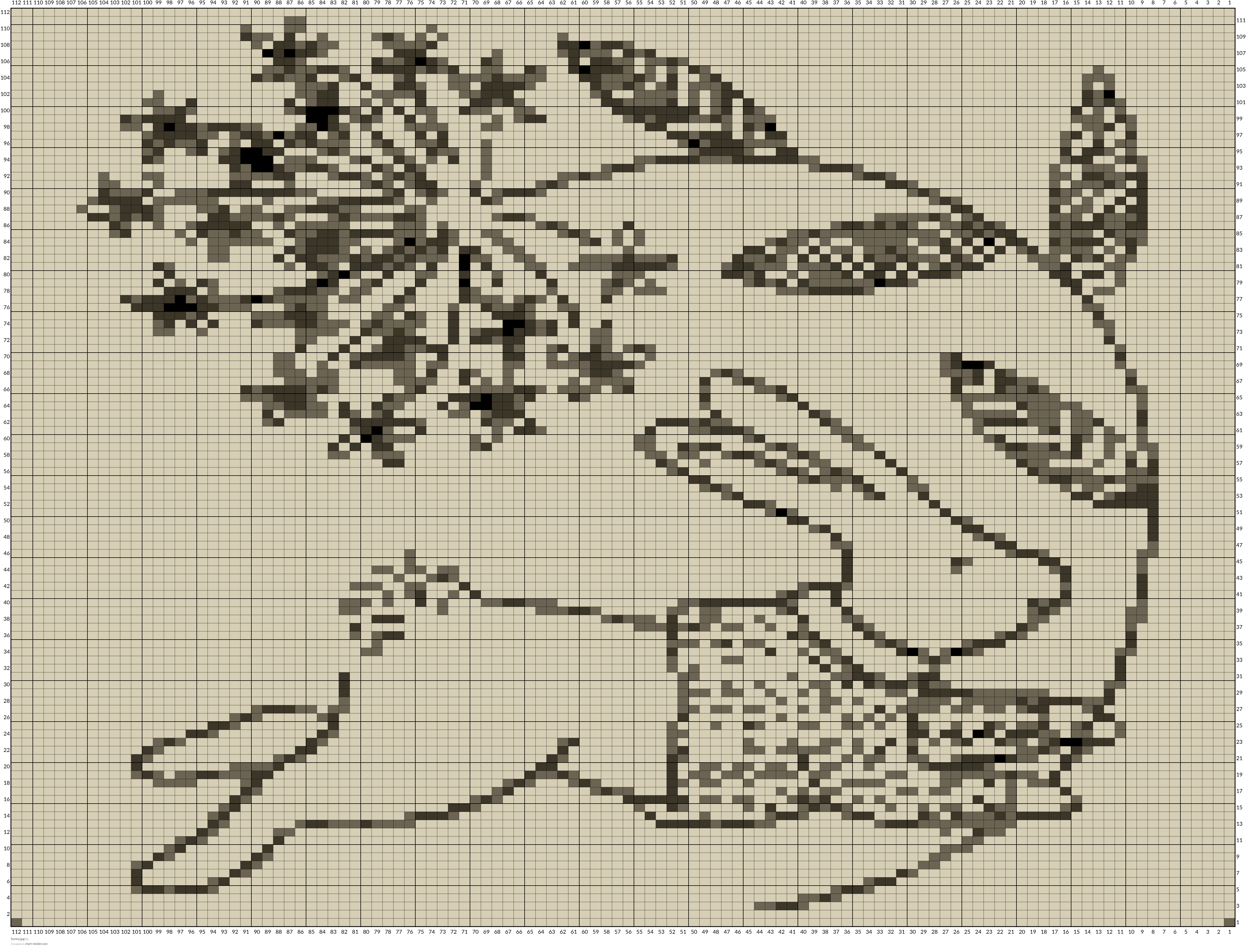 bunny.jpg