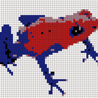 strawberryfrog.jpeg