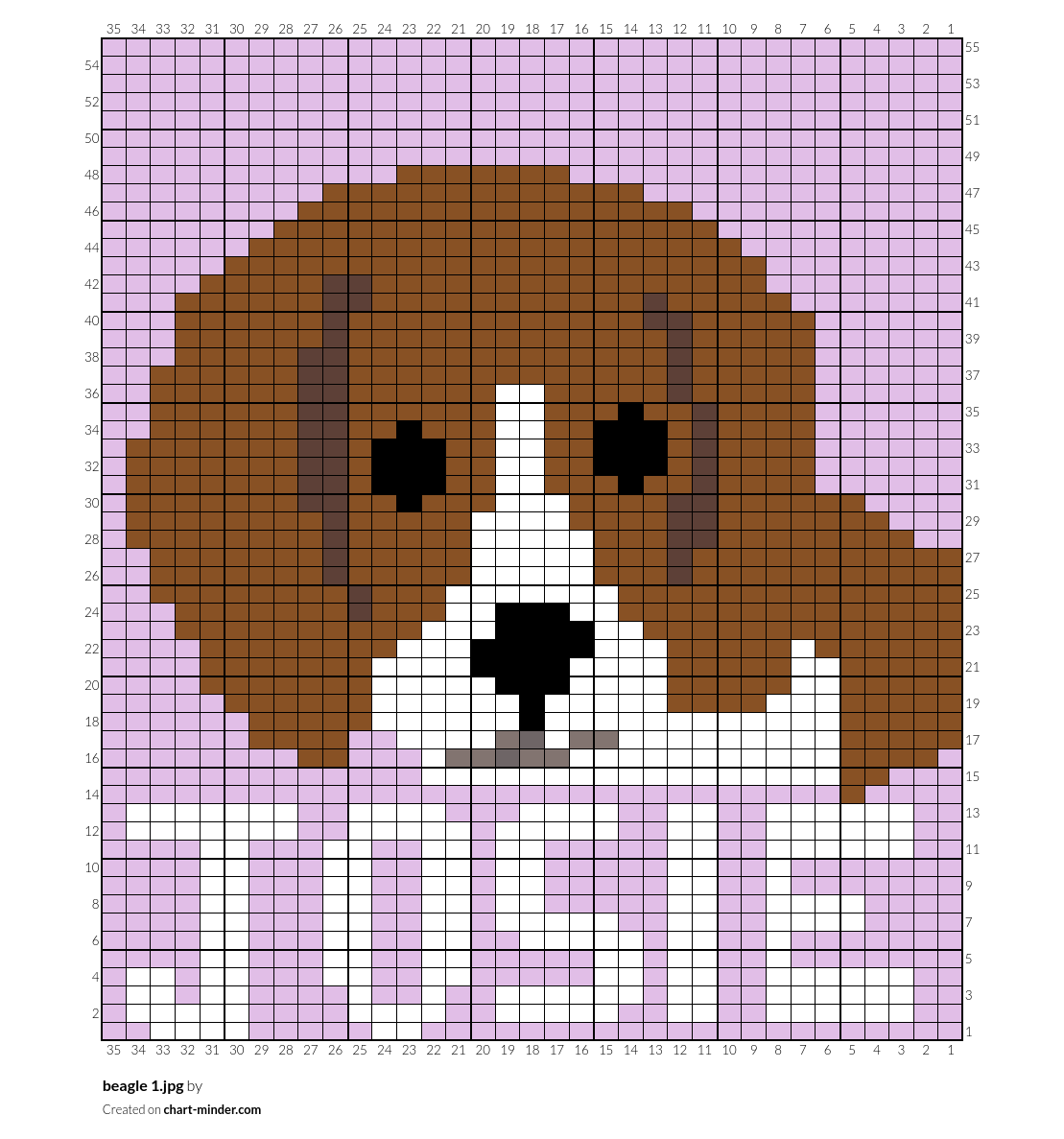 beagle 1.jpg
