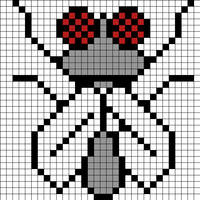 fly