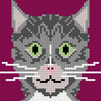 Alice the Wonder Cat