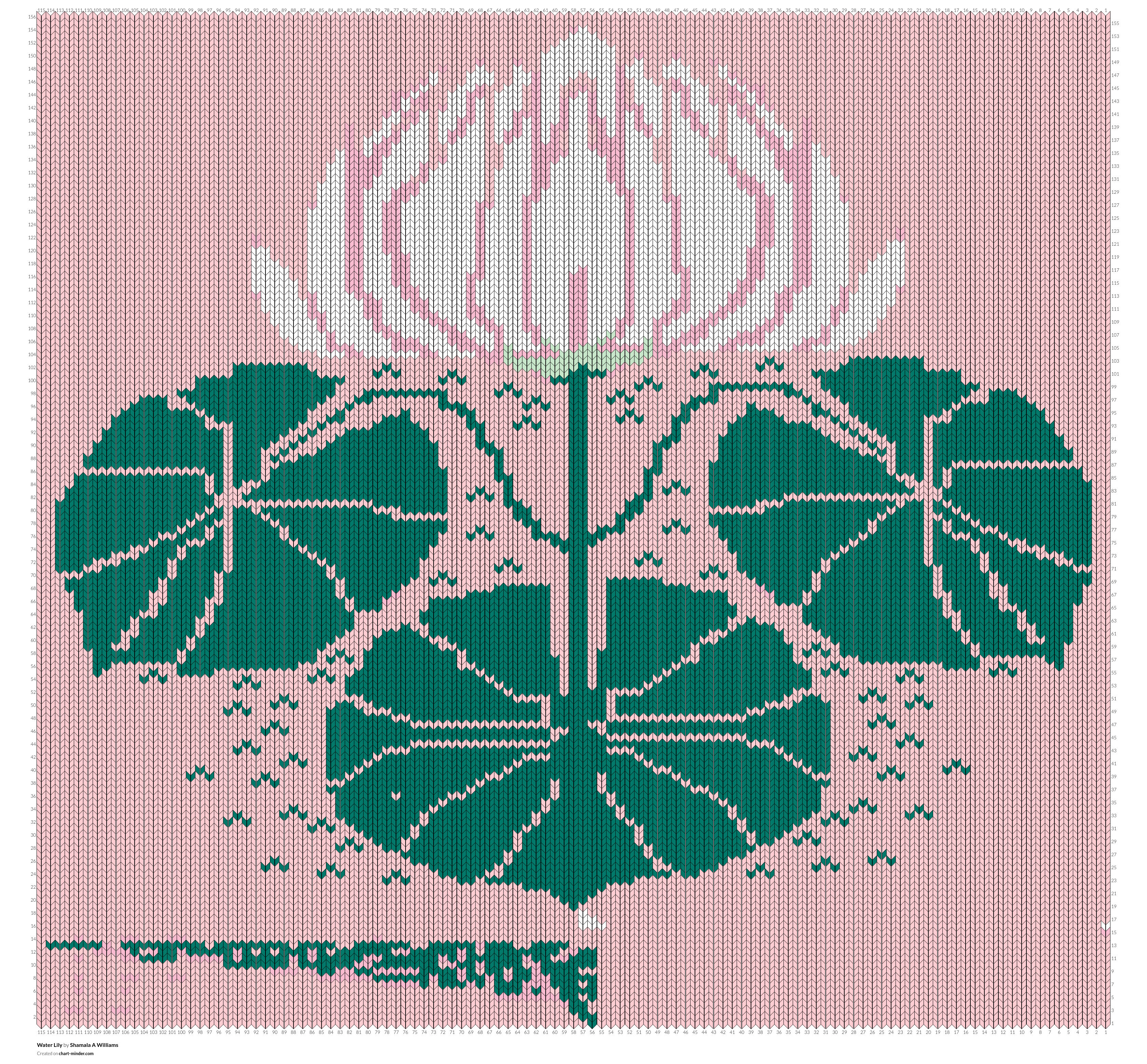 Water Lily