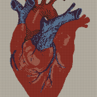 corazon