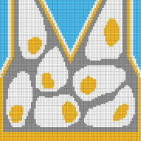 black border with eggs with ribbing