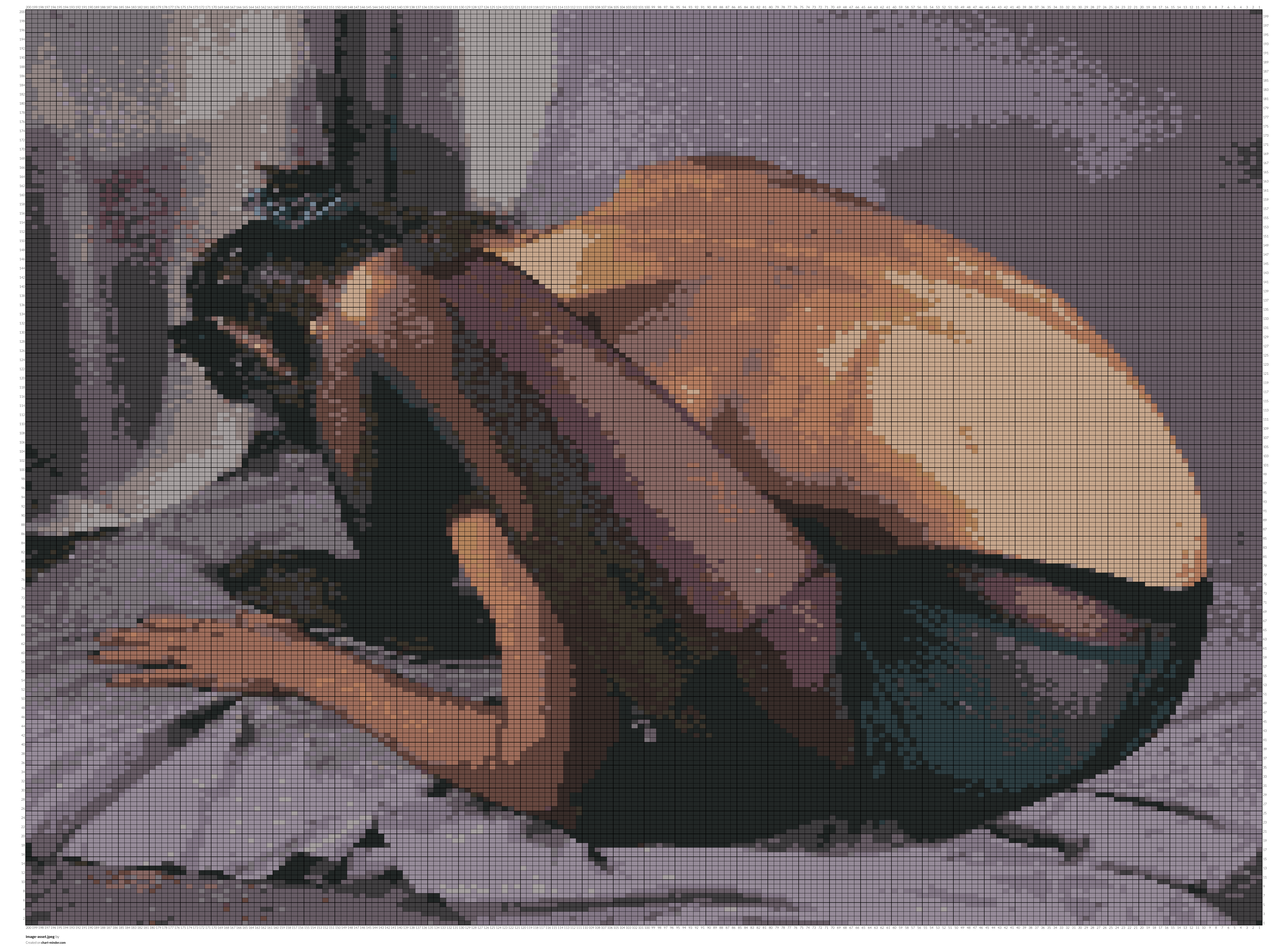 image-asset.jpeg