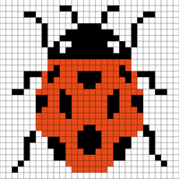 ladybug