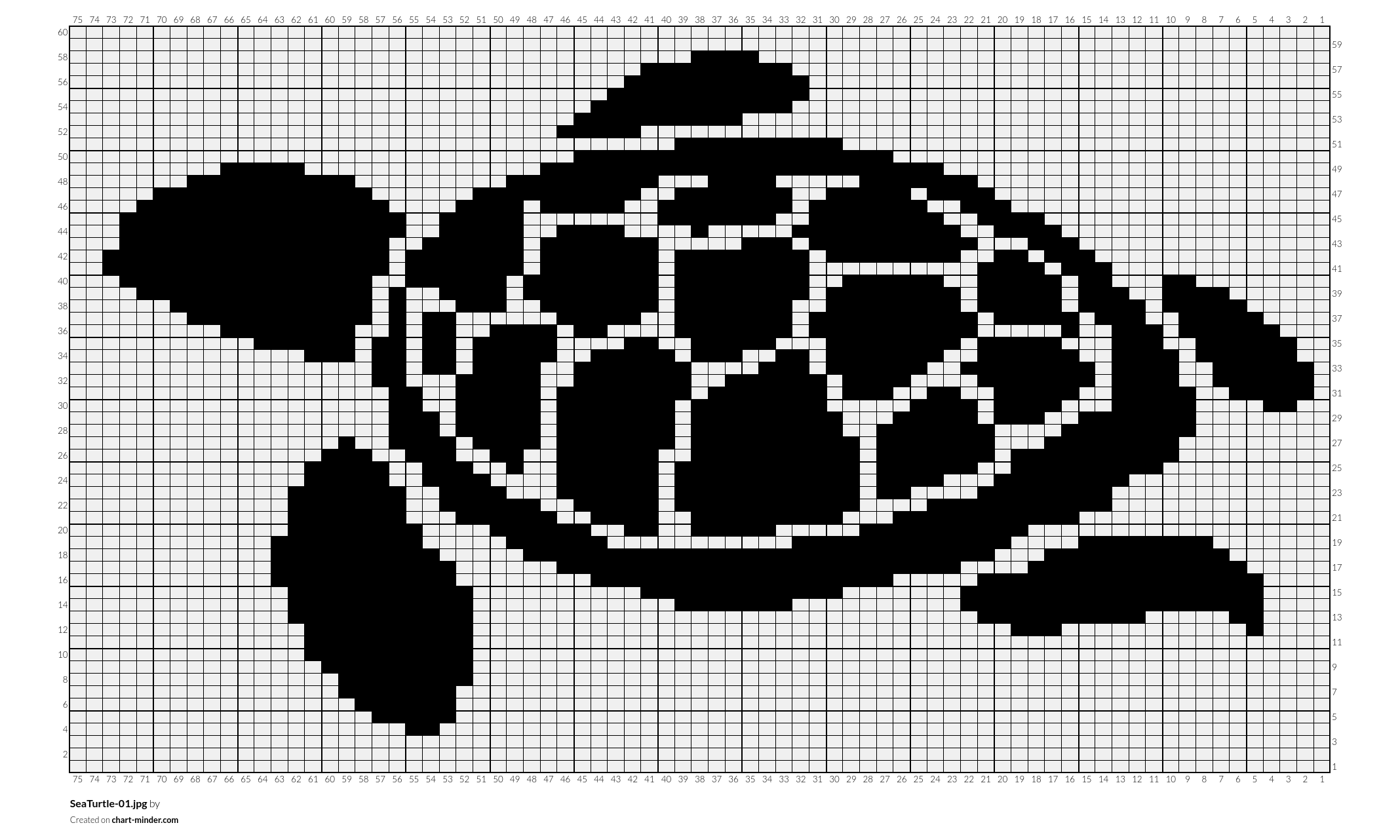 SeaTurtle-01.jpg
