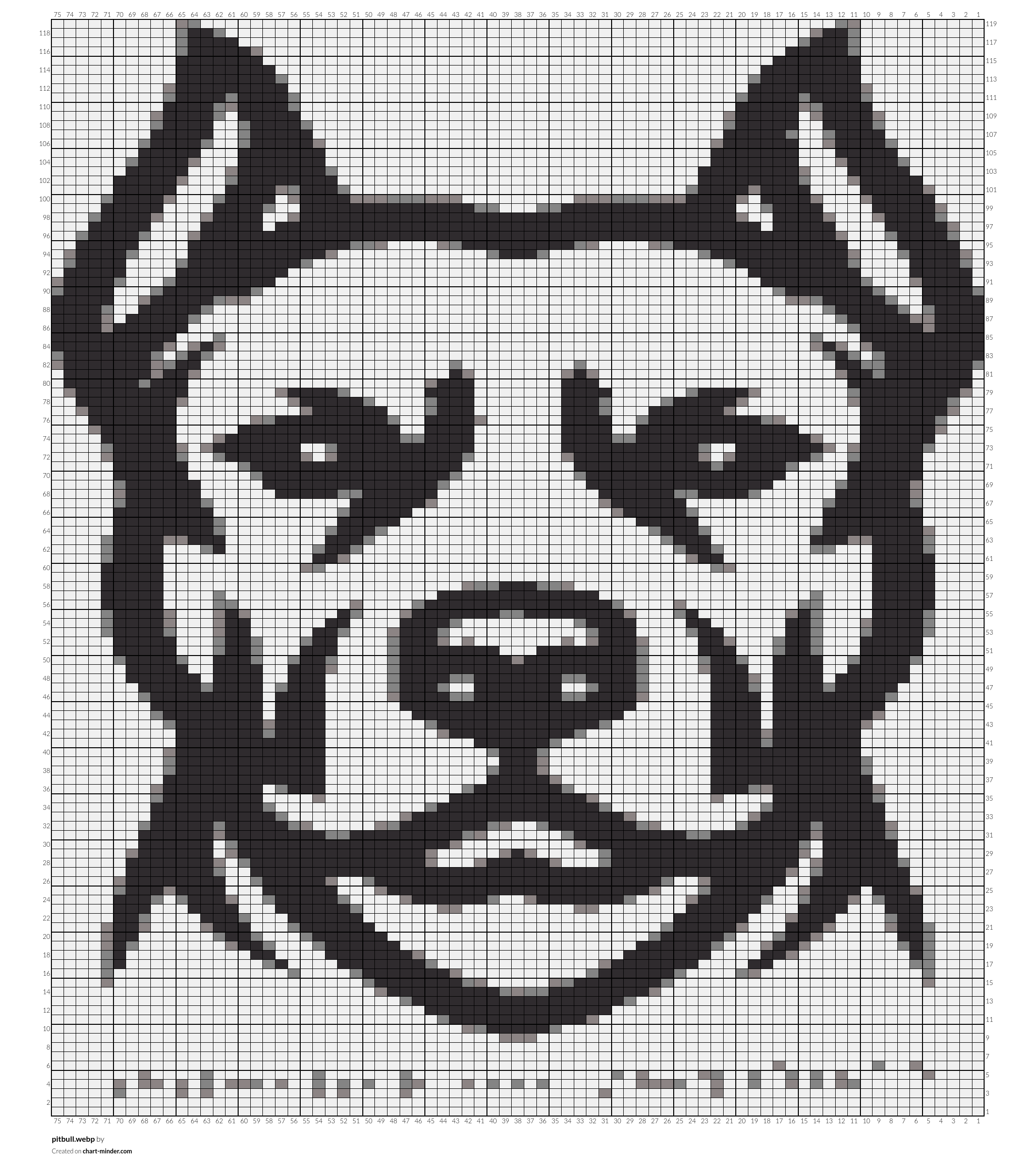 pitbull.webp