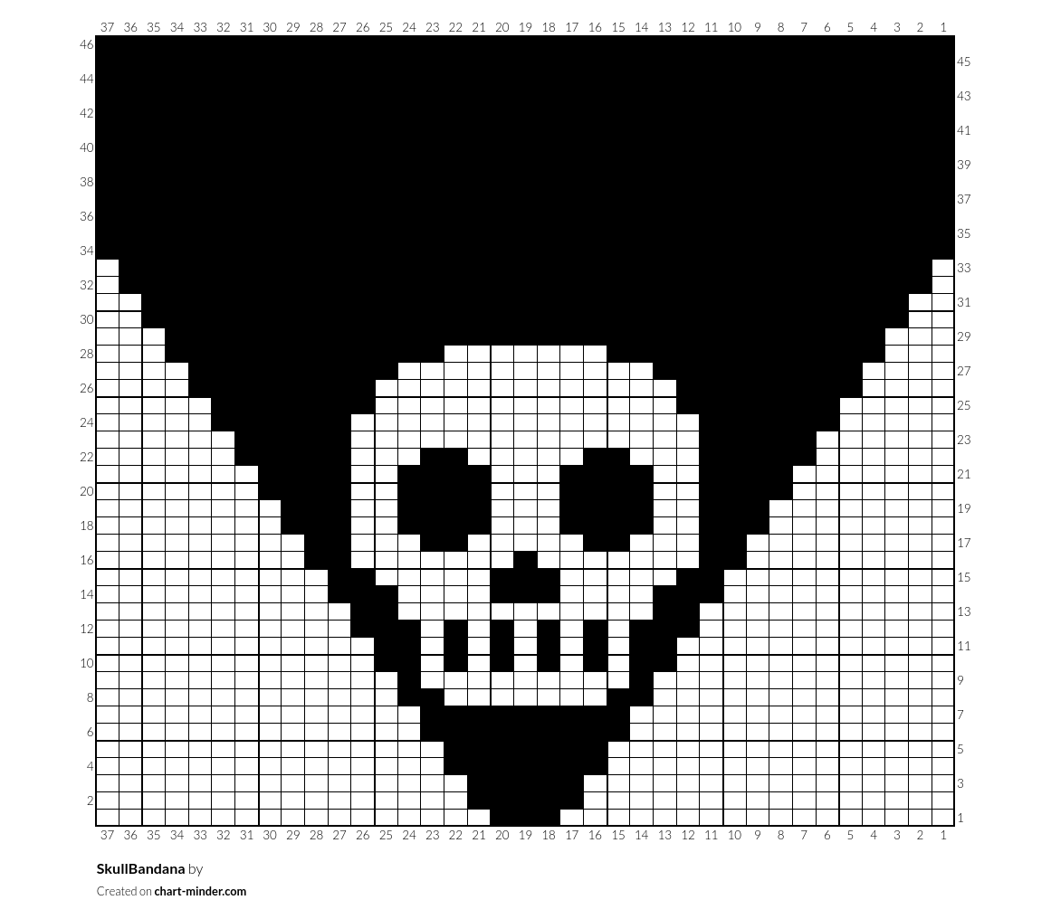 SkullBandana