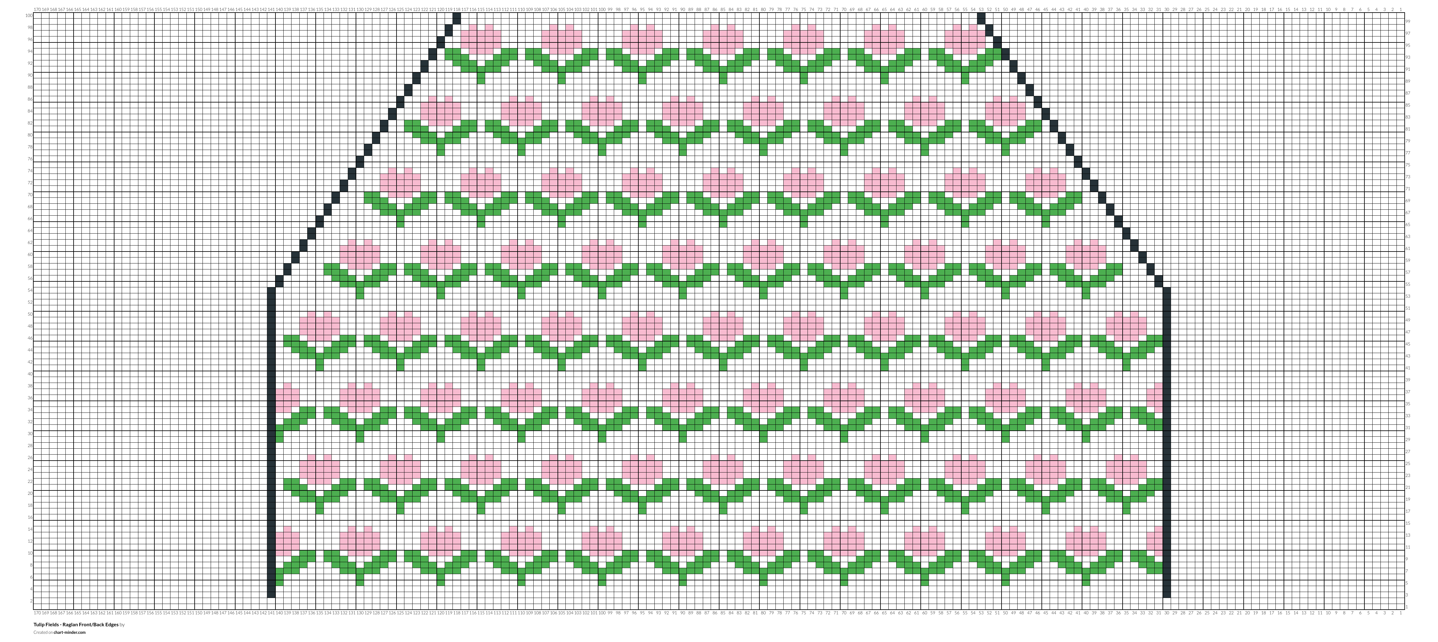 Tulip Fields - Raglan Front/Back Edges