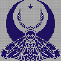moth