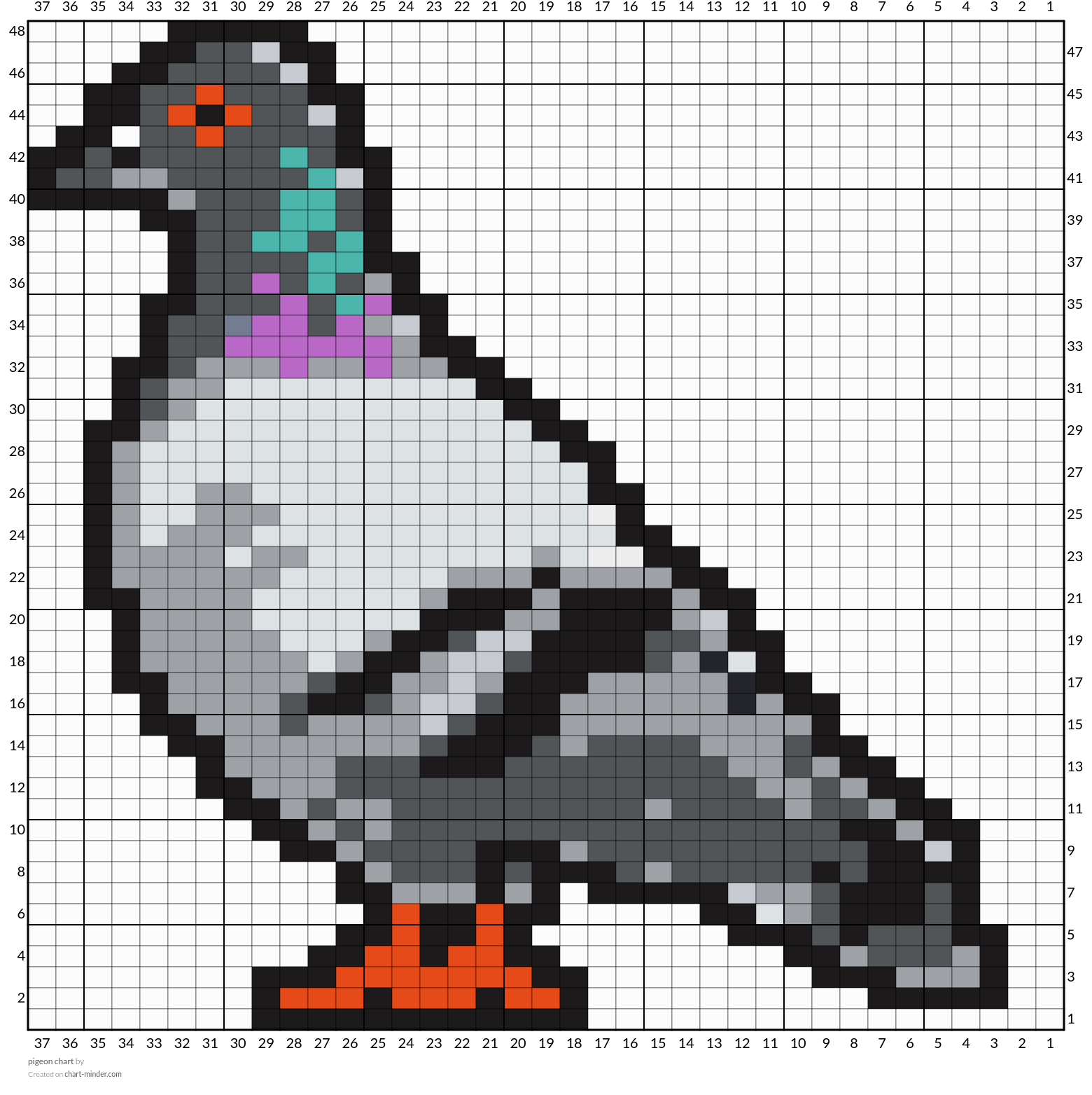 pigeon chart