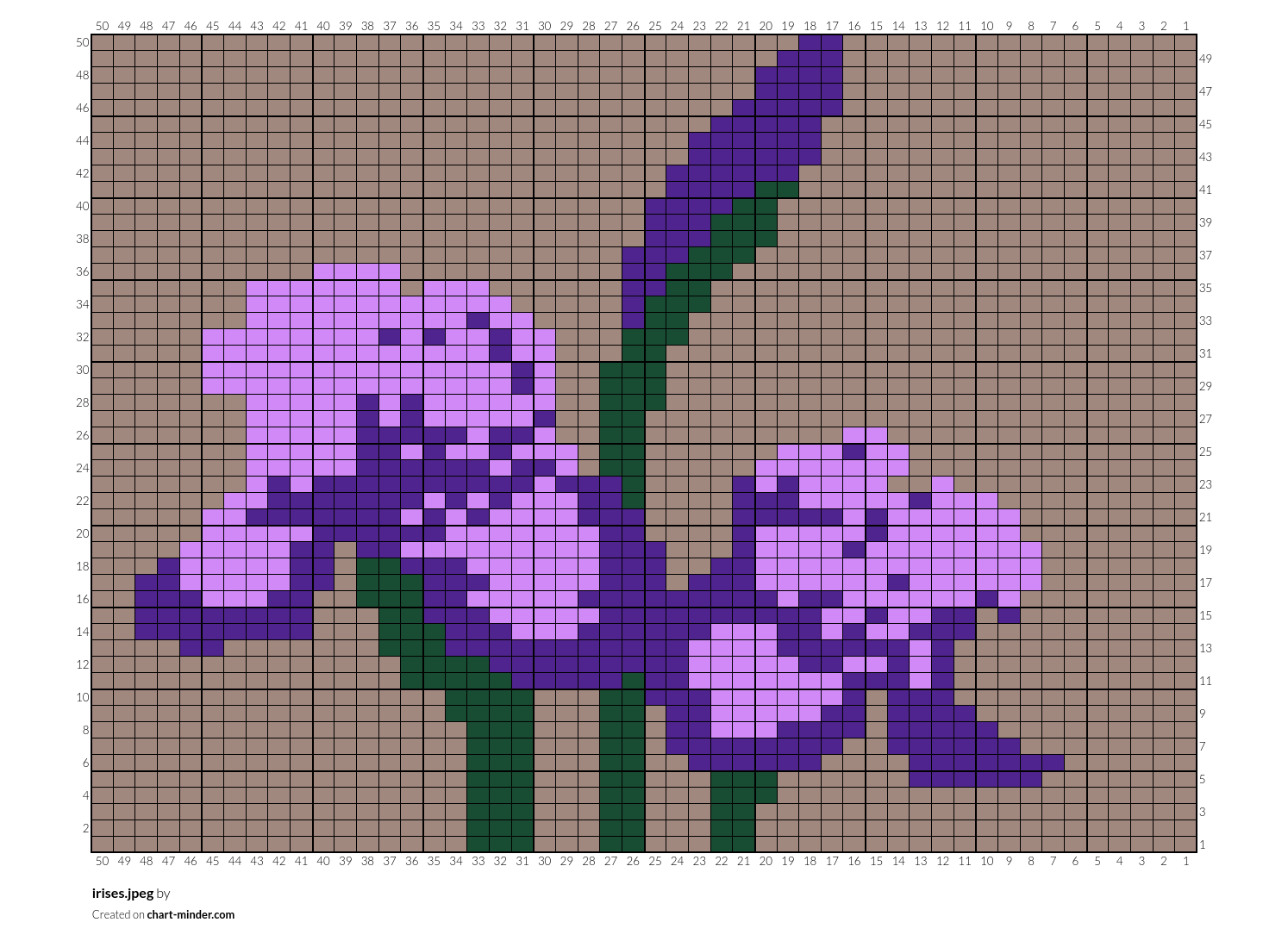 irises.jpeg