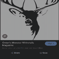 Screenshot_20240730-134459_Google.jpg