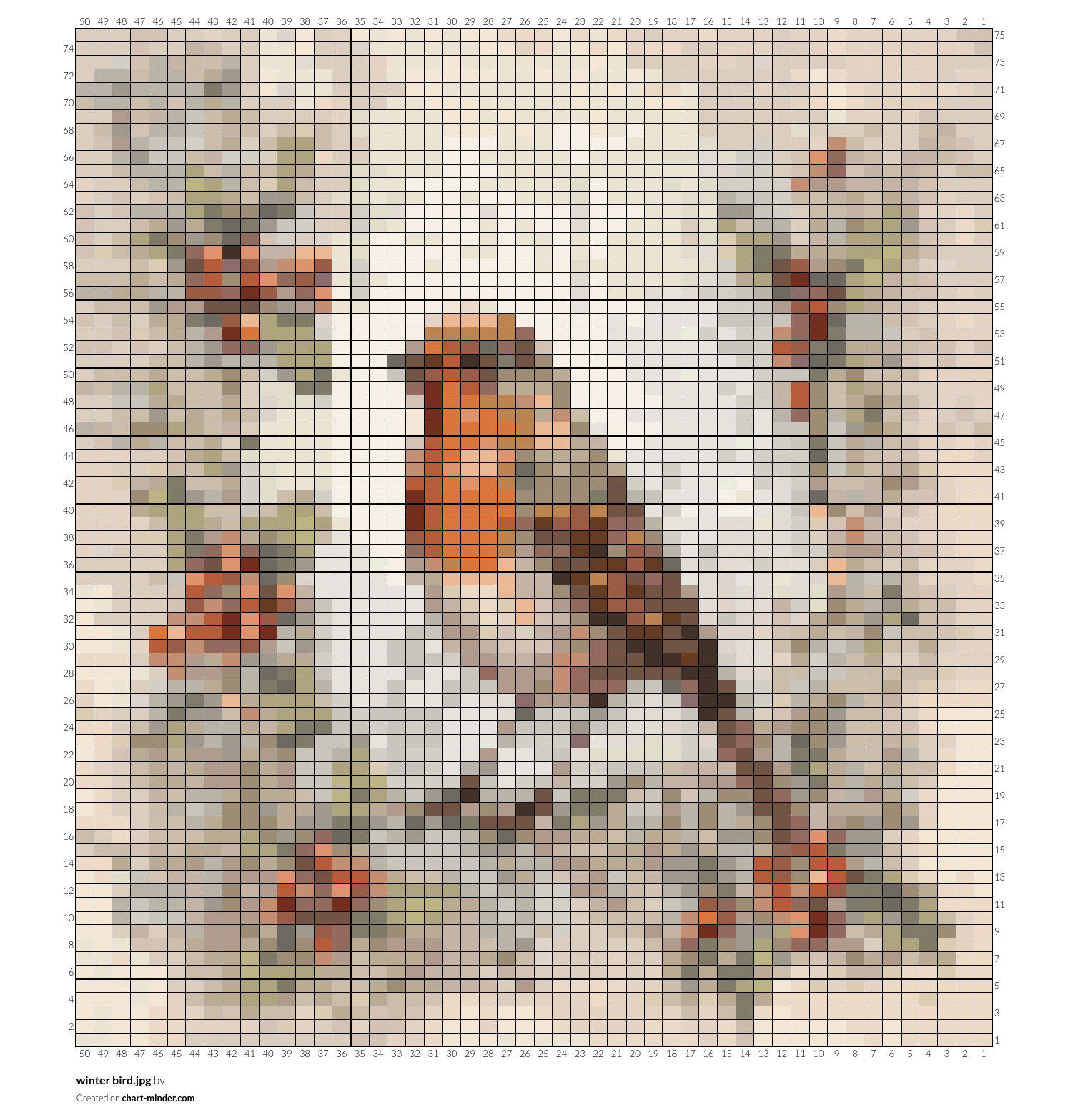 winter bird.jpg