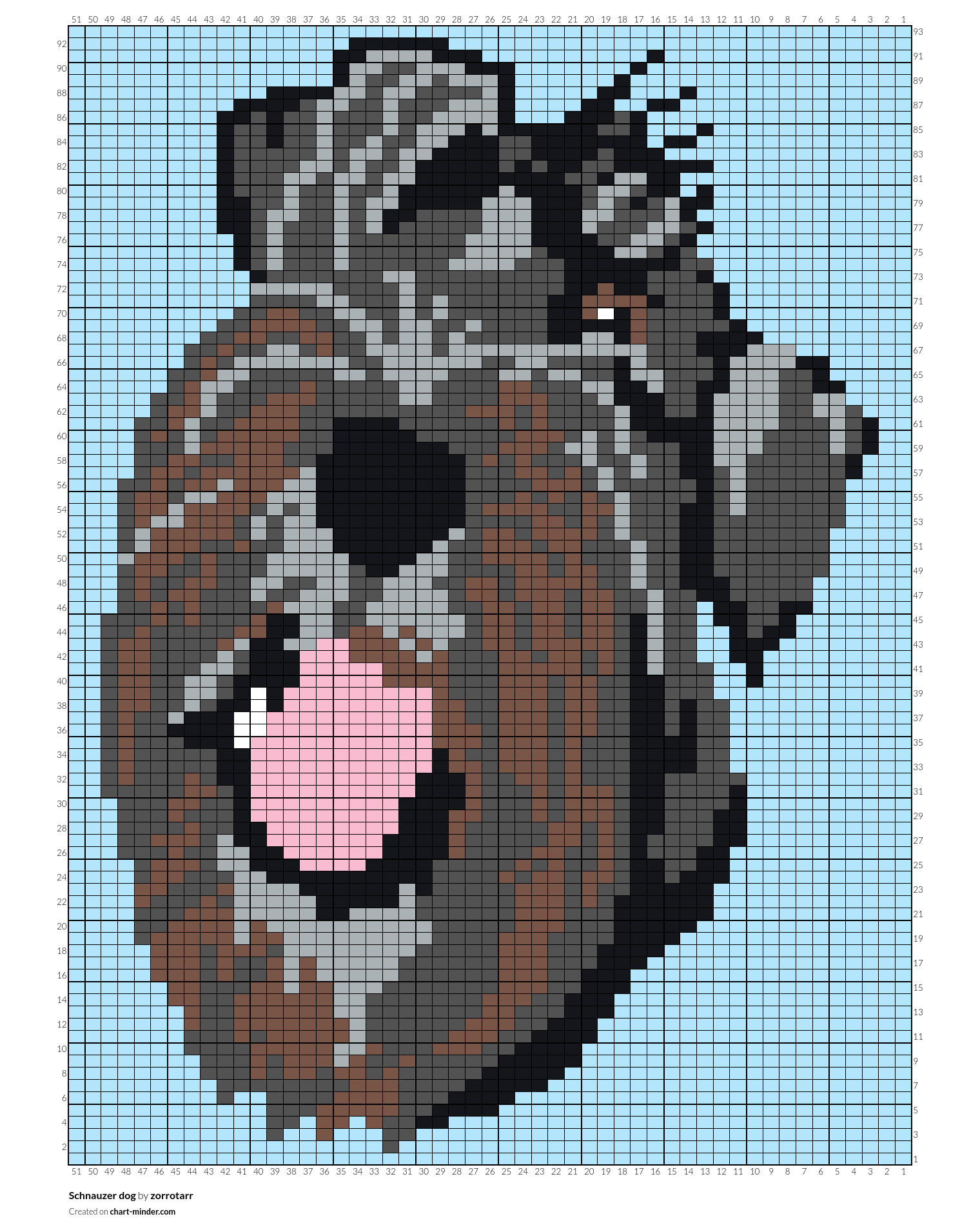 Schnauzer dog