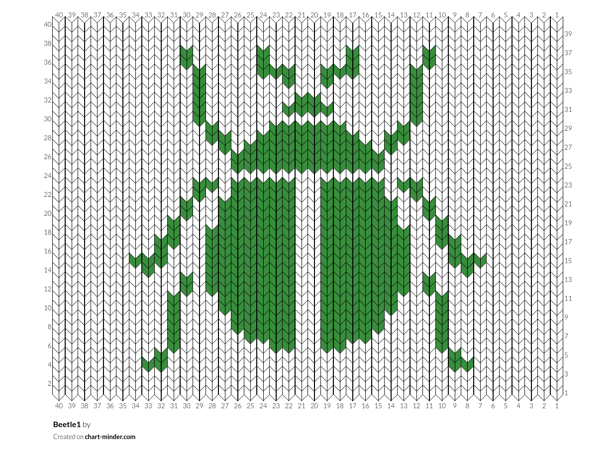 Beetle1
