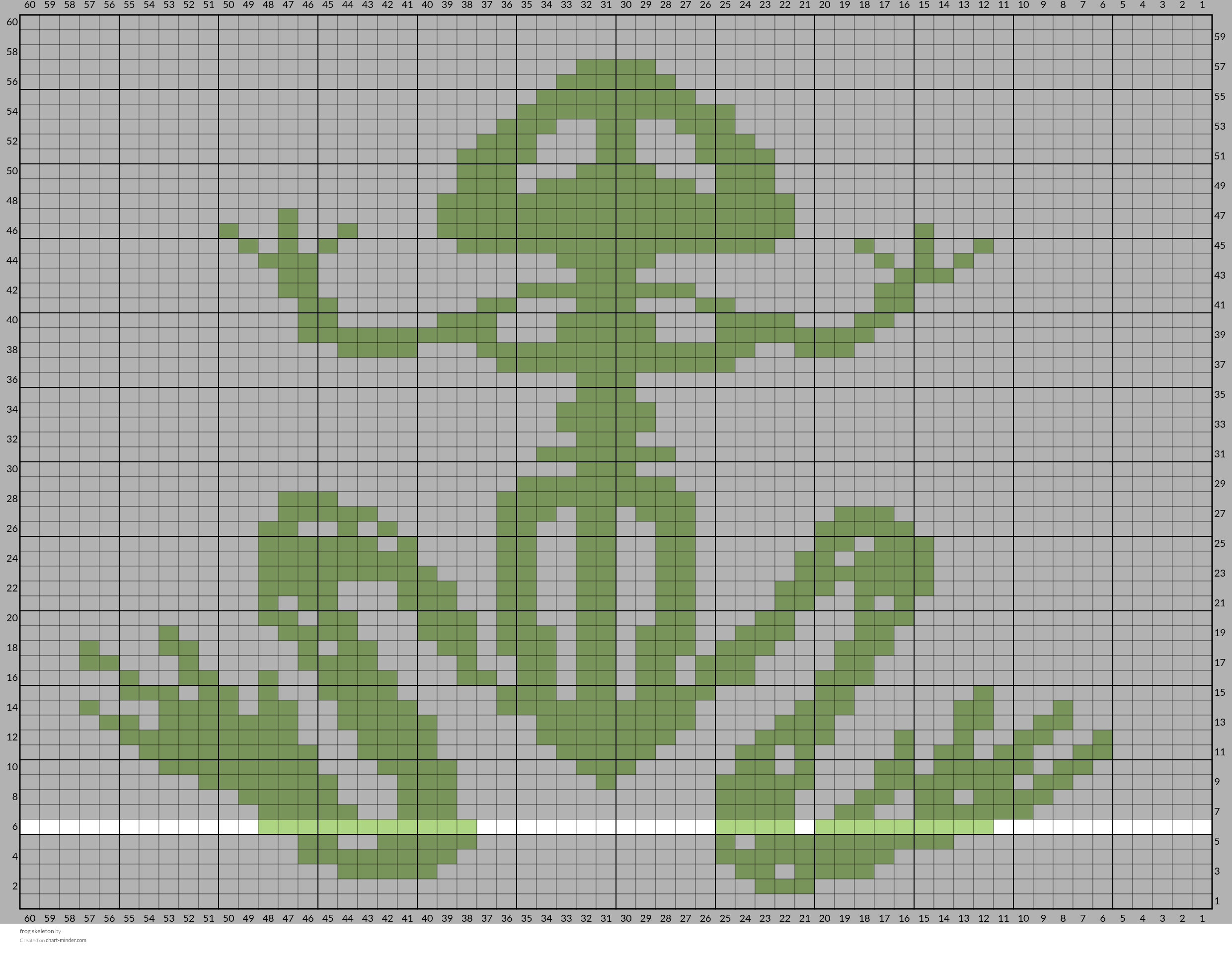 frog skeleton