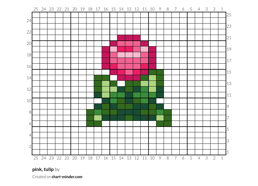 pink, tulip