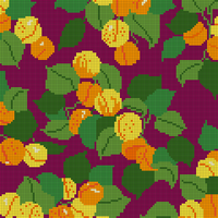 Fruits of the Forest Apricot (Cleopatra's Needle 1996) (Background = Dark Maroon)