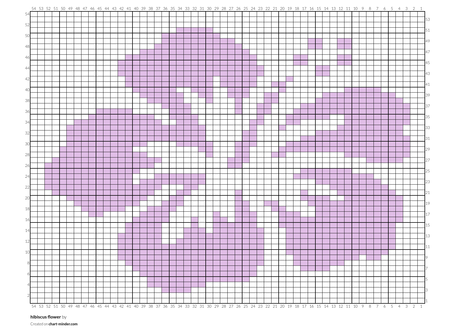 hibiscus flower