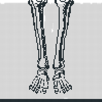 feet