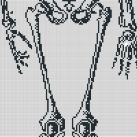 pelvis