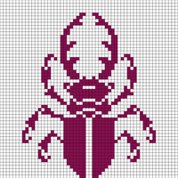 beetle 2