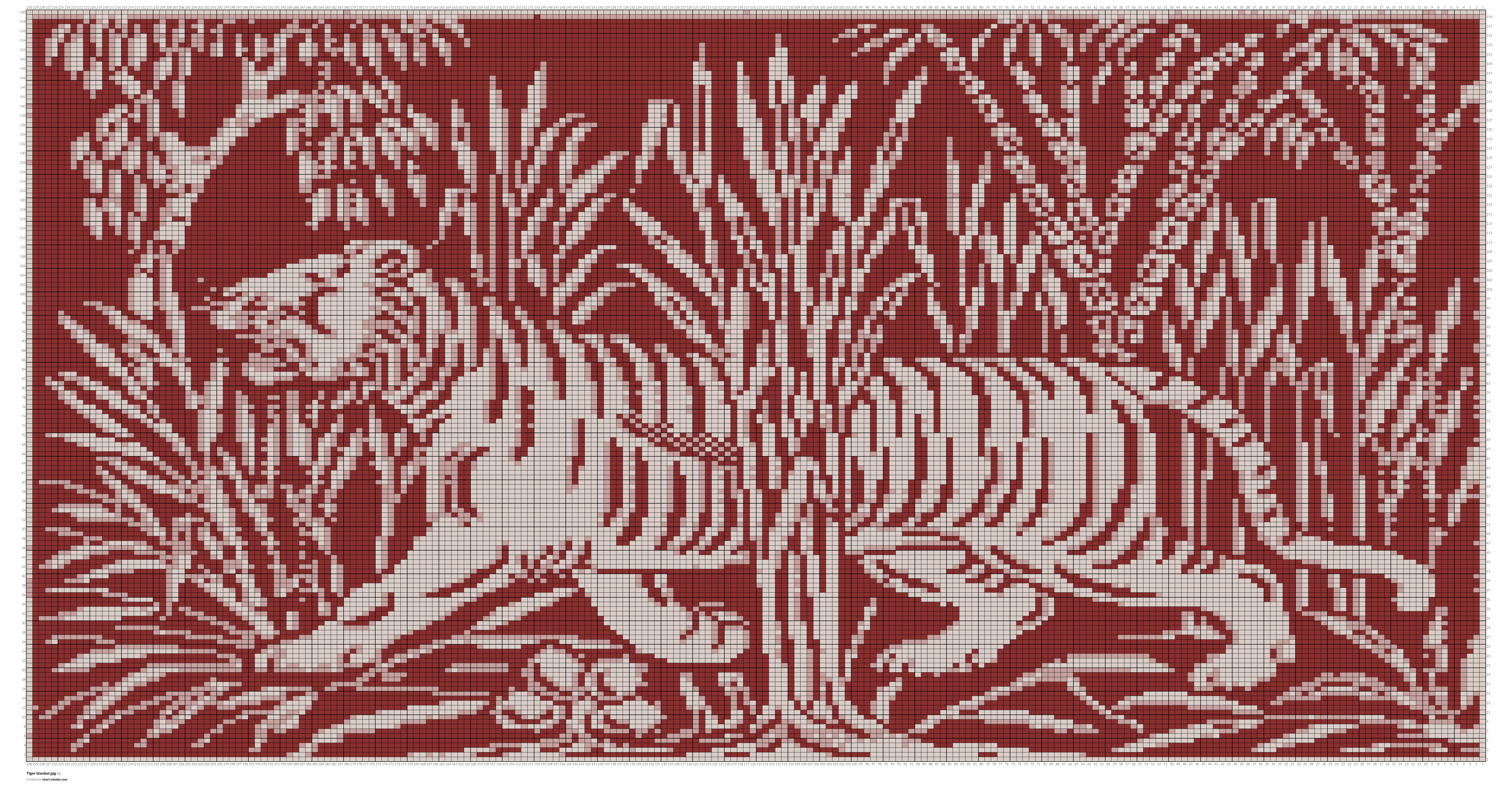 Tiger blanket.jpg