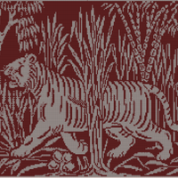 Tiger blanket.jpg