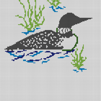 Loon in water