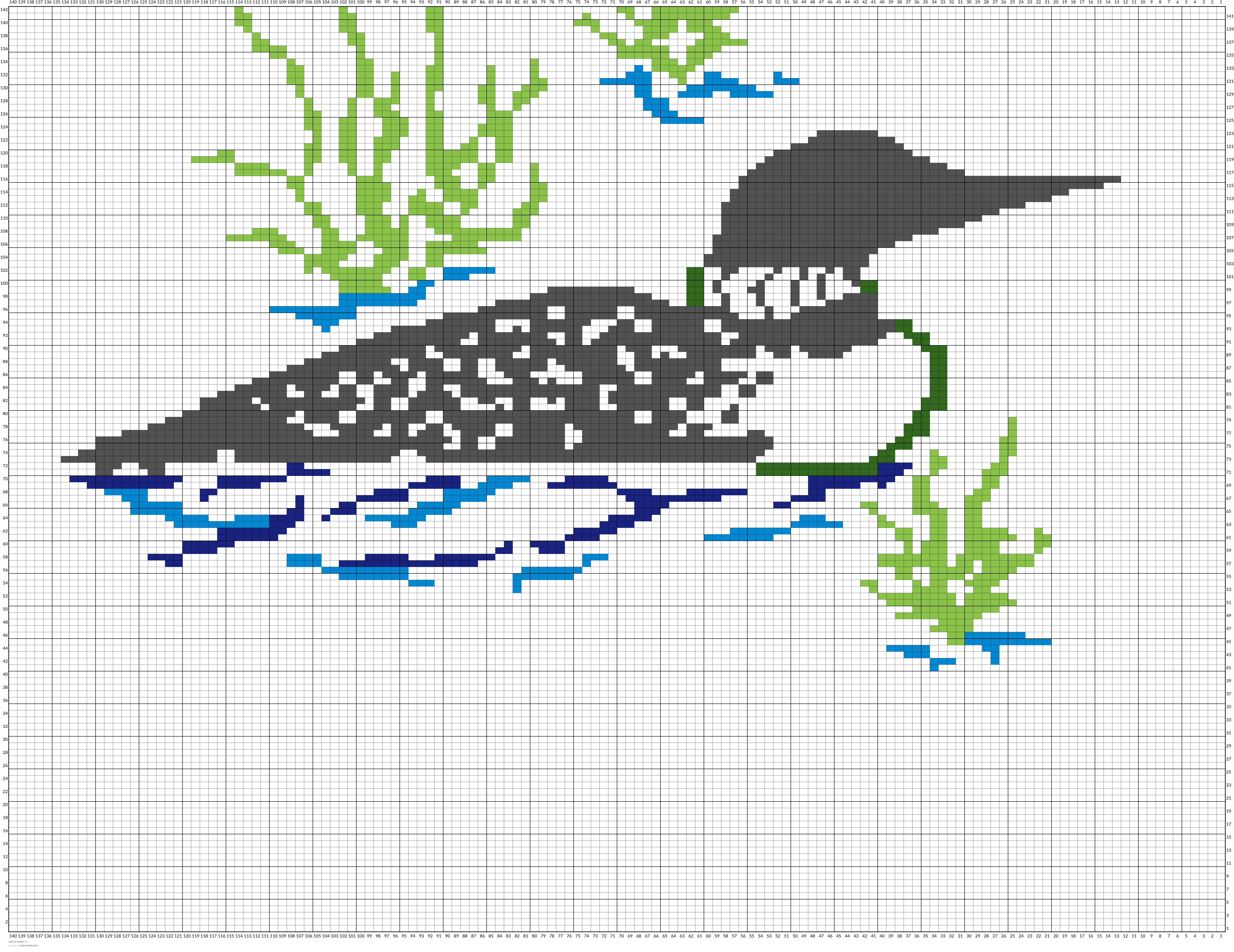 Loon in water