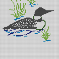 Copy of Loon in water