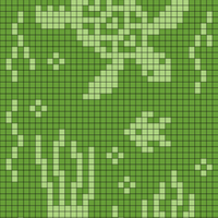 Octopus1_Instep_Turtle_Crop