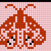 Copy of Copy of moth