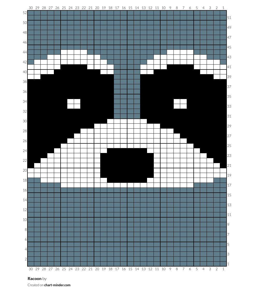 Racoon