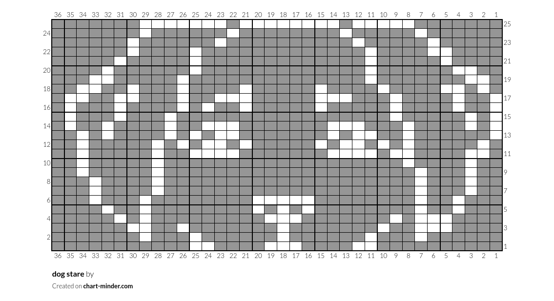 dog stare