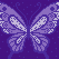 butterfly 2