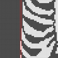 Copy of Copy of Copy of ribcage 2.jpg